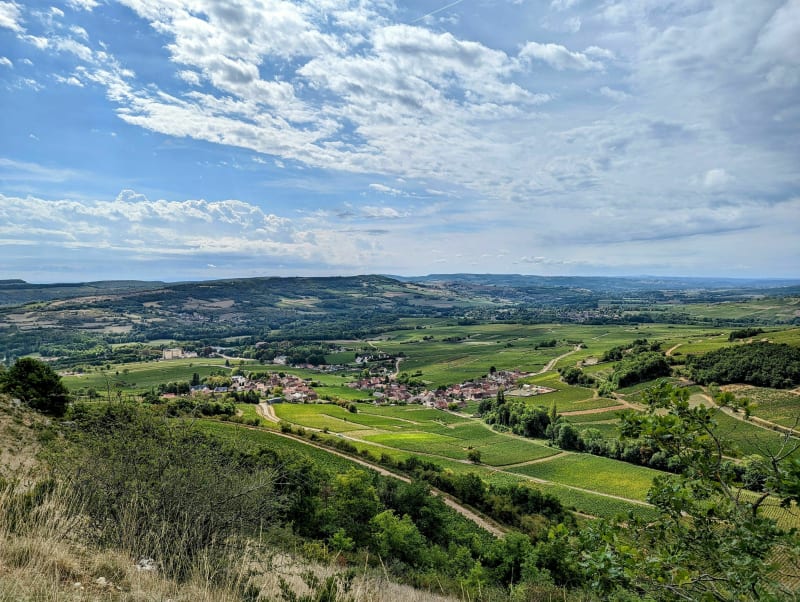 Chemin des crêtes au milieu des vignes - Santenay