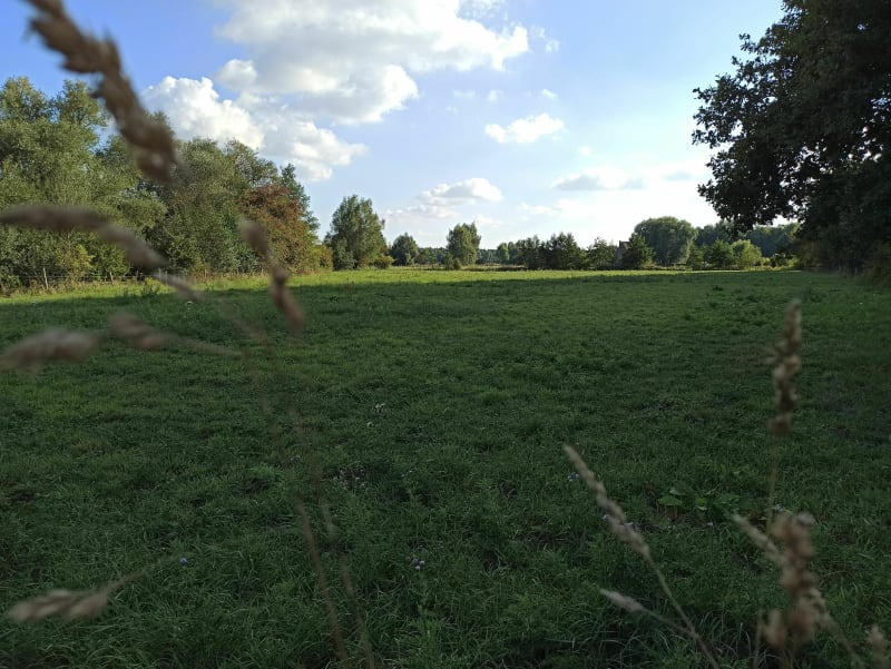 Hasnon par le canal, la forêt et les prairies - Hasnon