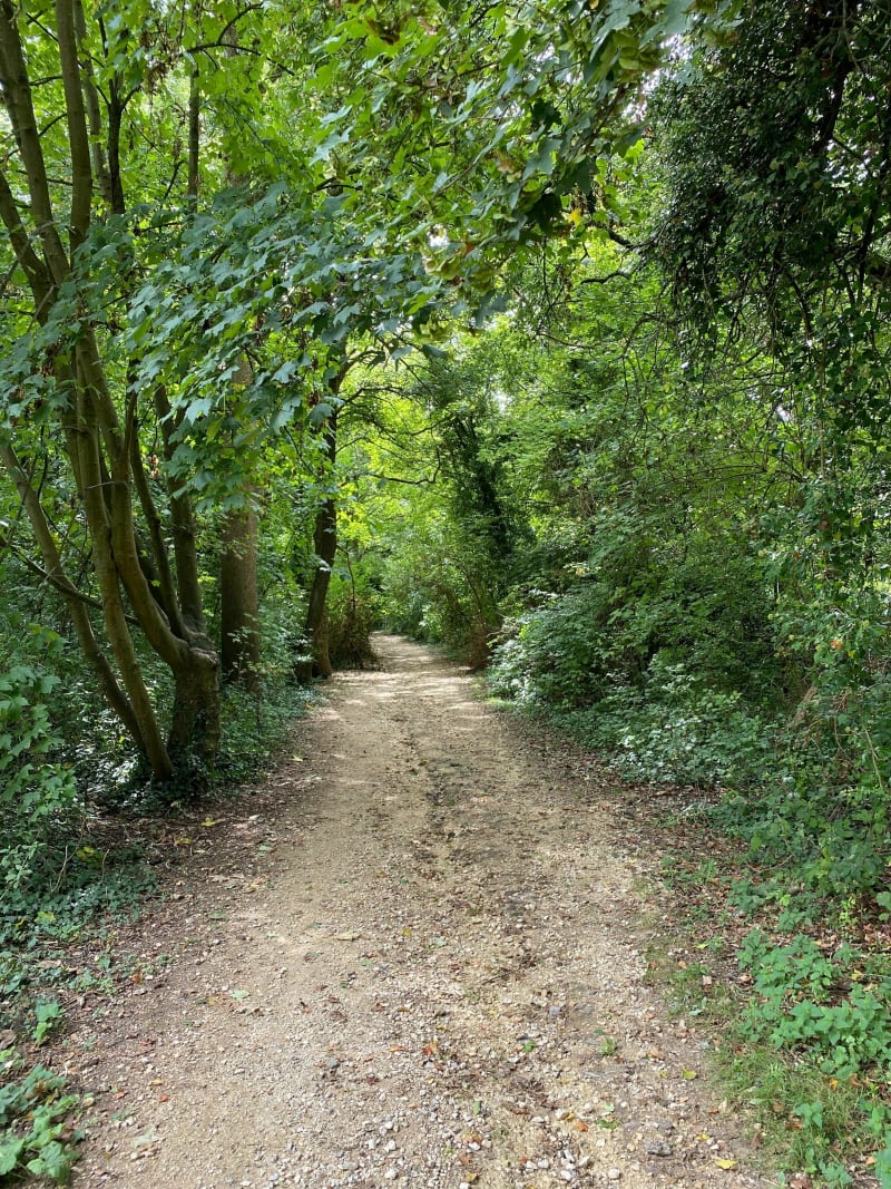 Autour de Conches-sur-Gondoire - Lagny-sur-Marne