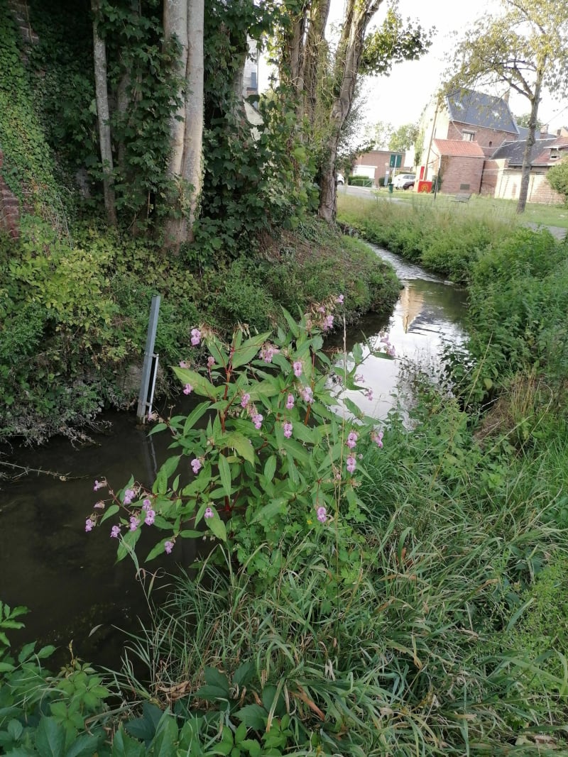 Balade entre Achicourt et Wailly - Achicourt