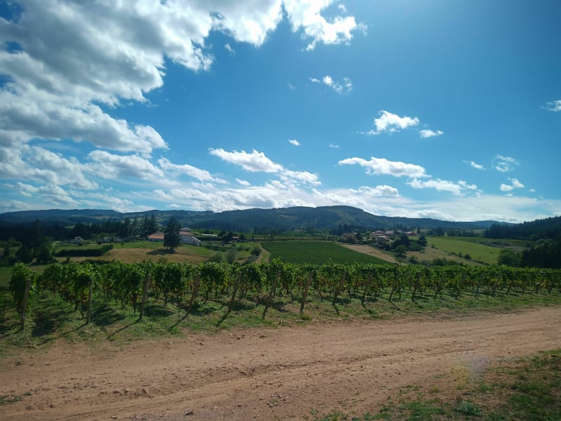 Les deux Saint-Haon et forêt de Pardières - Saint-Haon-le-Vieux