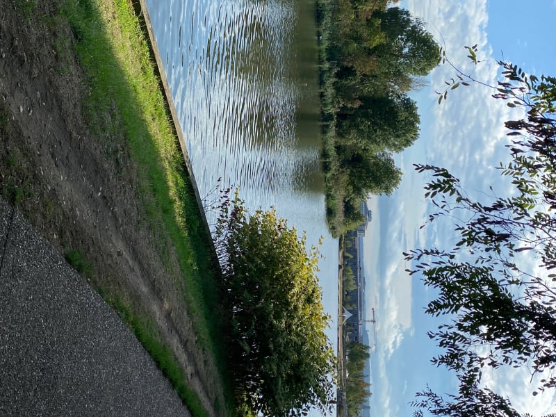 Balade agréable sur Les rives de la Meurthe - Tomblaine