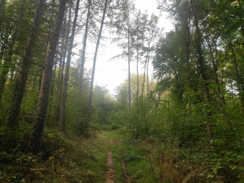 La bas sur les Dolines - Ougney-Douvot