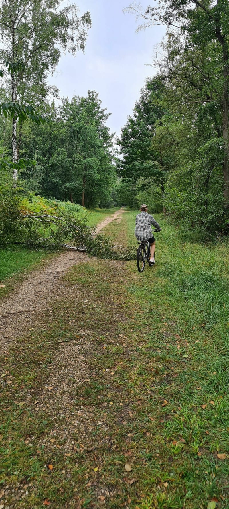 Boucle en vtt mi-route mi-forêt en Brie - Boissy-Saint-Léger