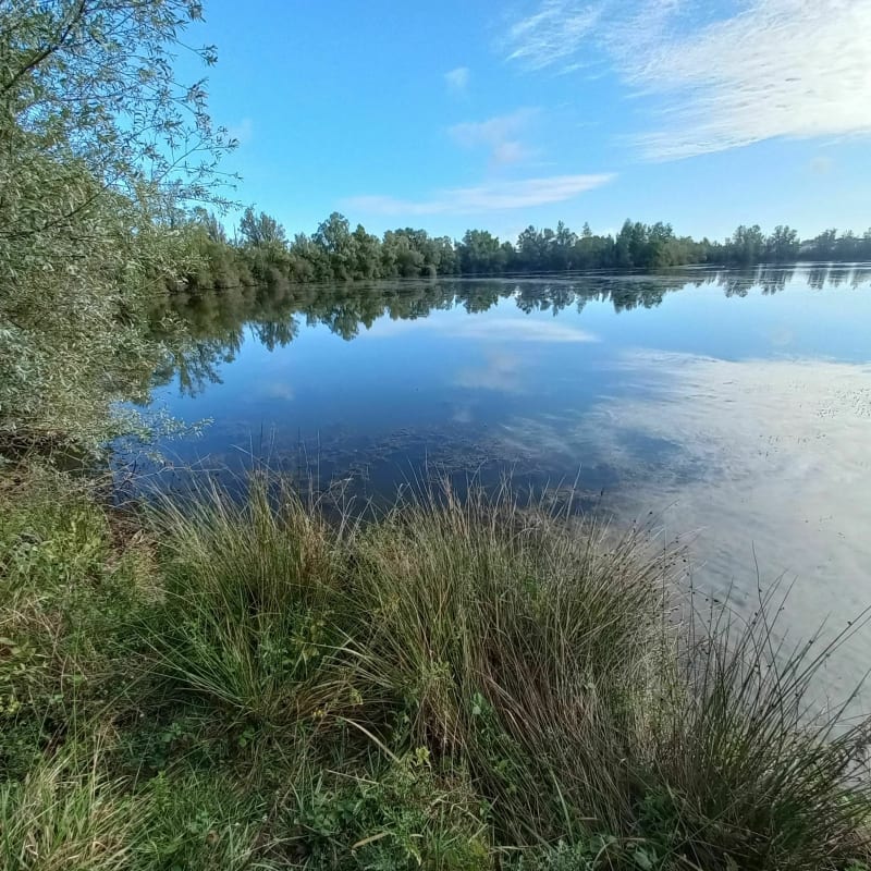 Balade dans Vierzon - Vierzon