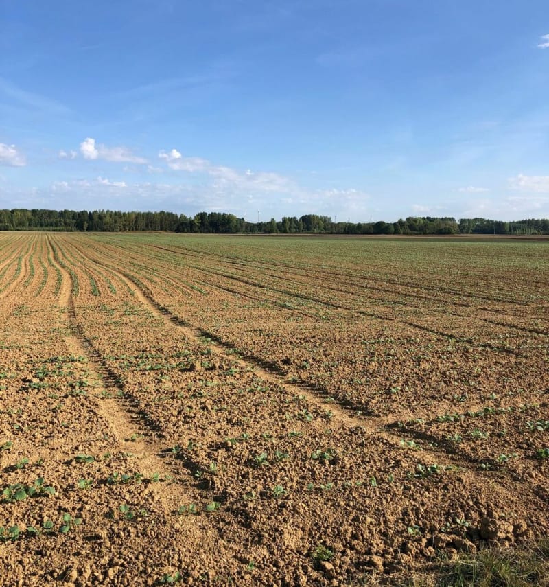 Balade en plaine de Sauvage - Saint-Just-Sauvage