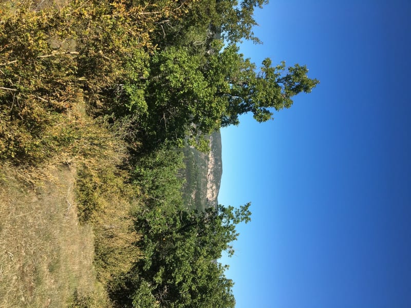 École du larzac oppidum - Millau