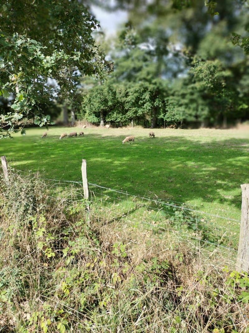 Voie verte autour de Mayenne à vélo - Mayenne