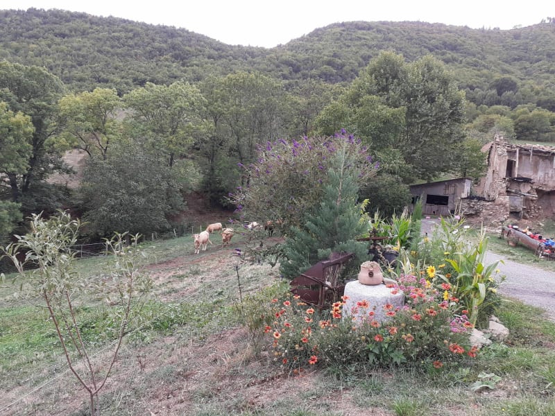 Tour de saulce - La Saulce