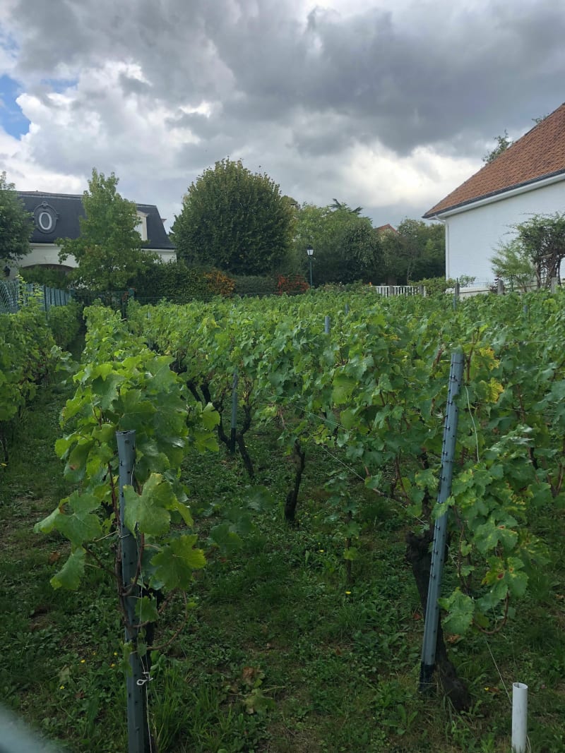 De la marie de Boissy aux Vignes de Sucy - Boissy-Saint-Léger