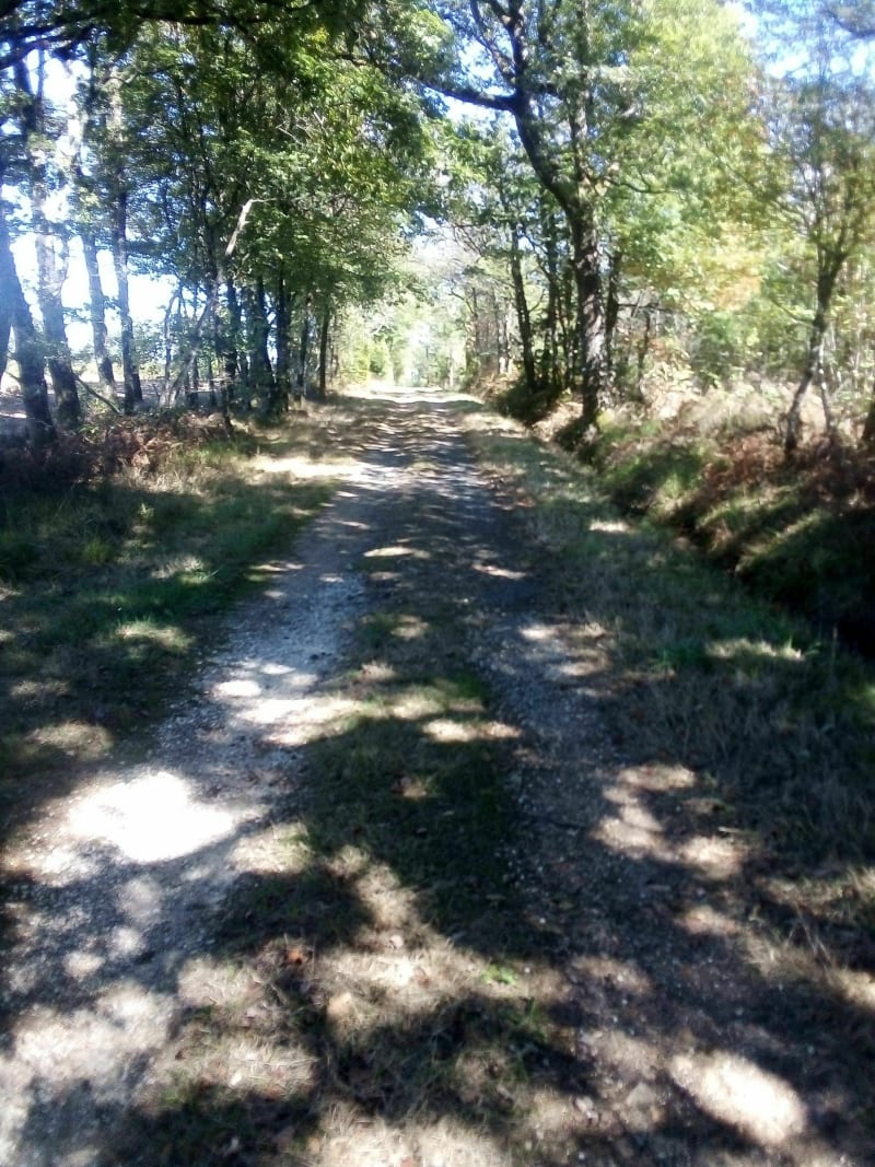 Balade la Faye ( version longue) - Terres-de-Haute-Charente