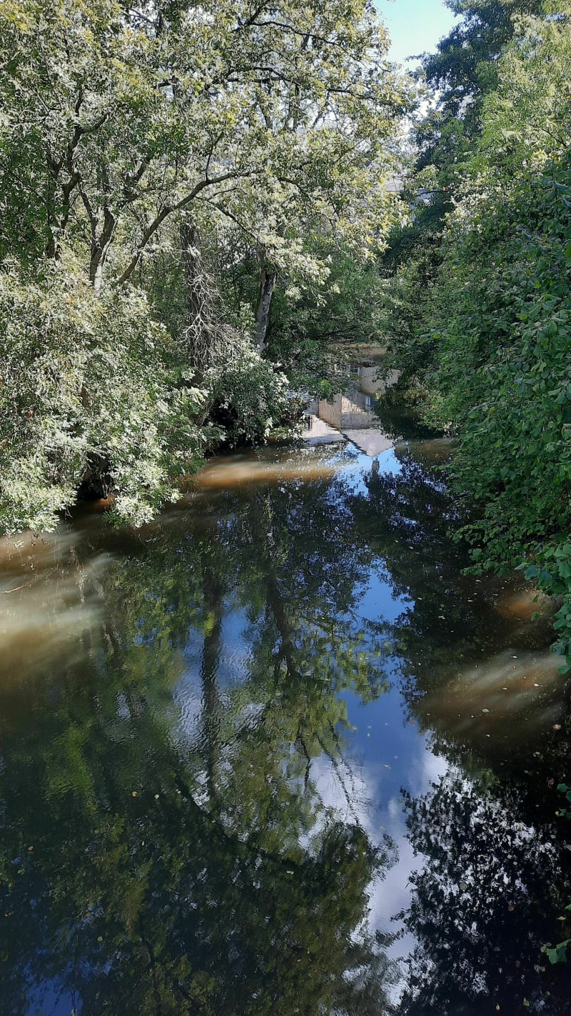 Le tour du Vicoin - Nuillé-sur-Vicoin