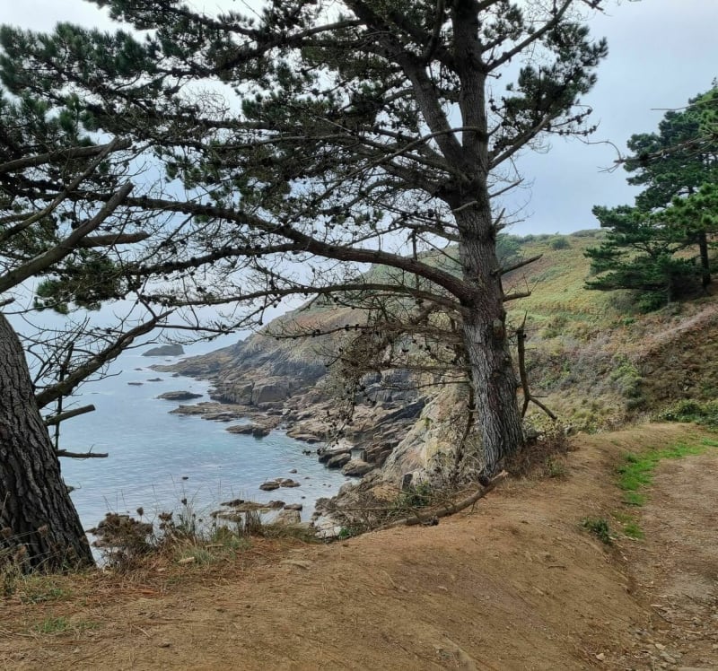 Le GR 34, sentier Côtier à  Plougonvelin - Plougonvelin