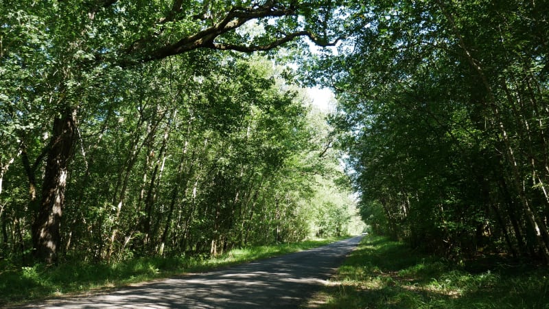Borgo sur la route - Borgo