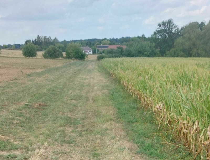 Balade autour des villages de Siewiller - Siewiller