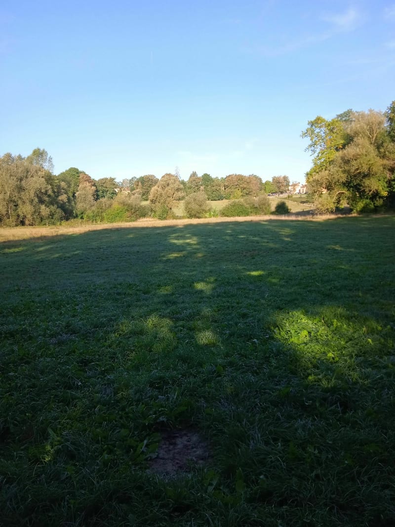 Balade des lacs - Brétigny-sur-Orge
