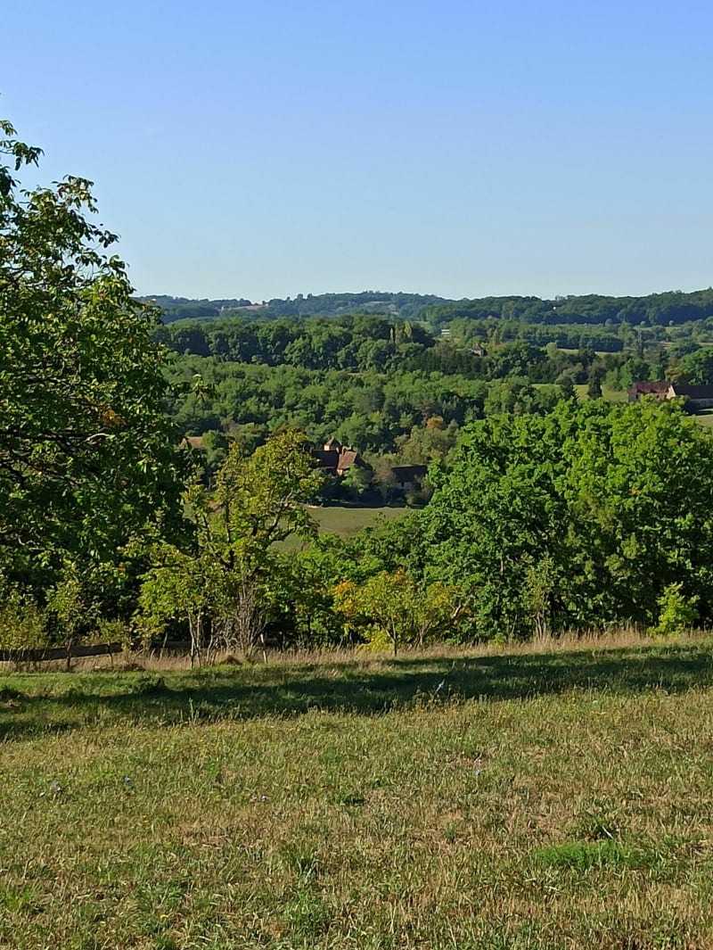 Chemin de la fontaine d'Arteil - Nadaillac-de-Rouge