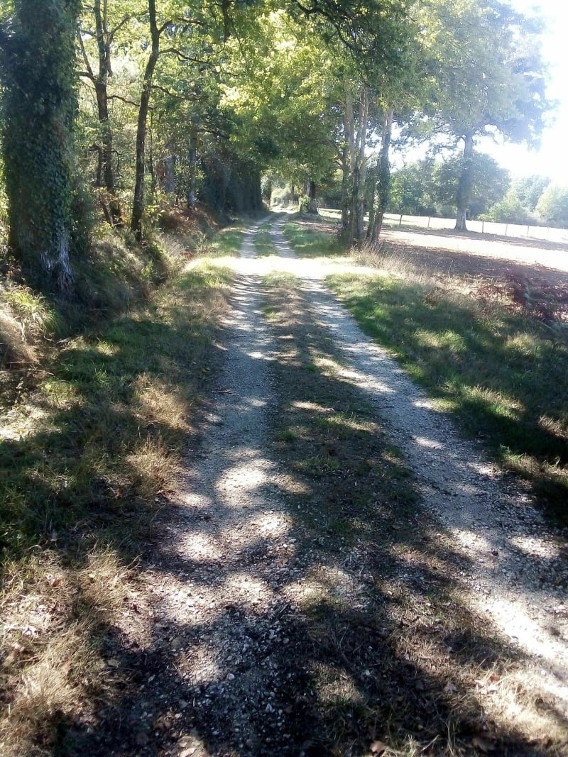 Balade charentaise longeant la Vienne - Terres-de-Haute-Charente