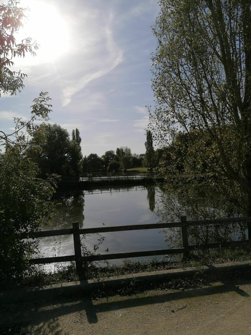 Ballade en lisière de forêt - Saint-Prouant