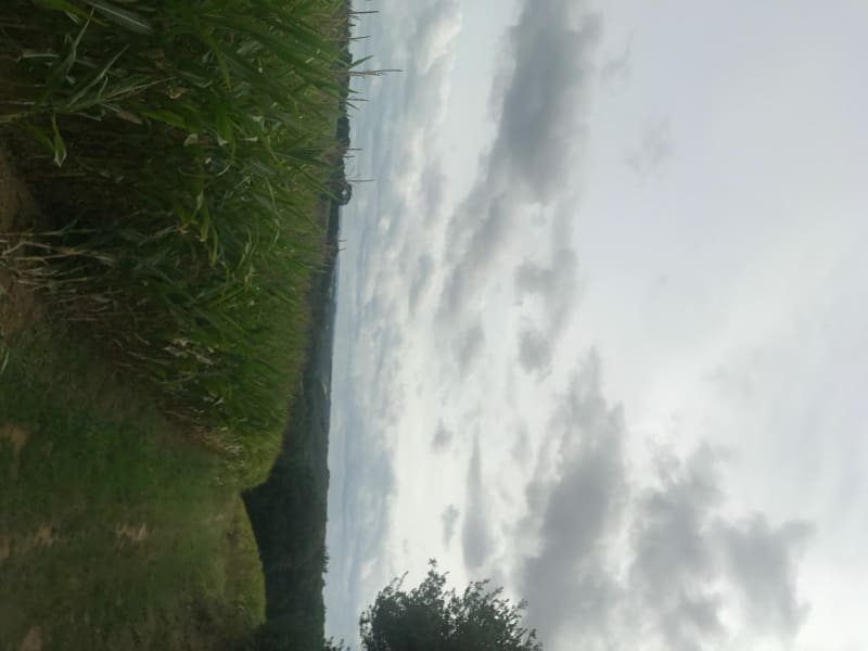 Moulin de Trévilis, Penzé - Guiclan