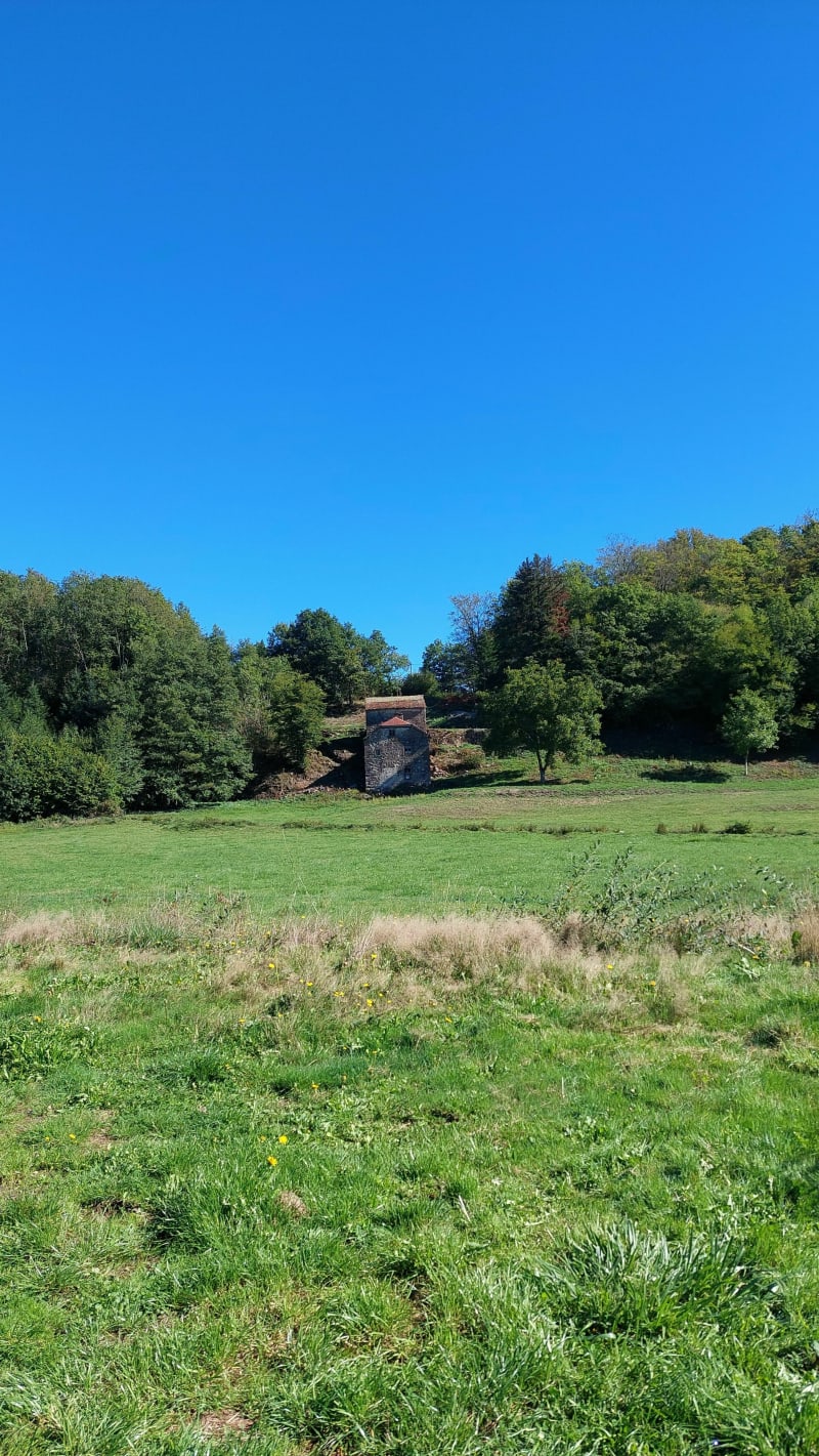 Zeelus in het hart van het Plateau van de Duizend Vijvers - Mélisey