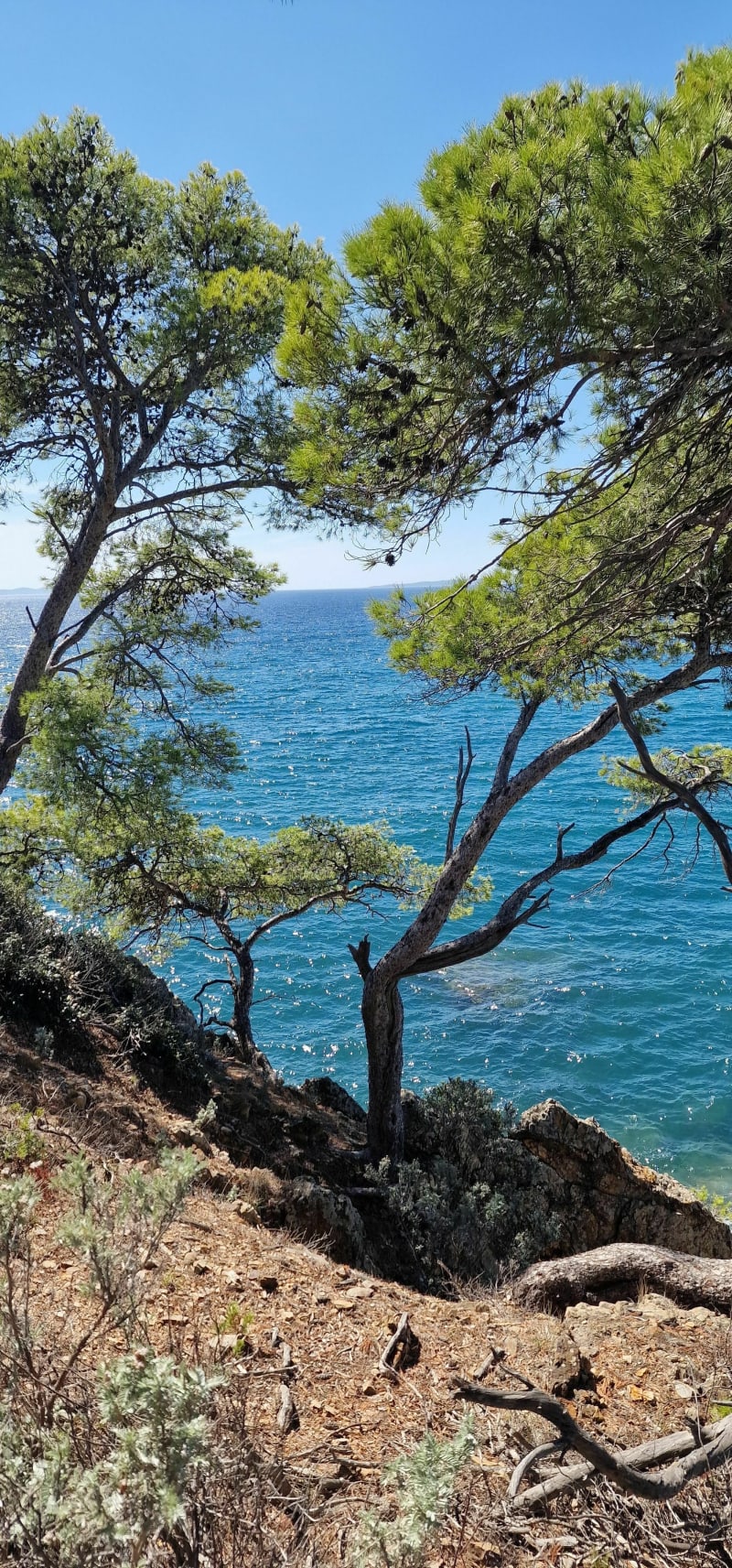 Entre terre et mer, du côté de Bregancon - Bormes-les-Mimosas