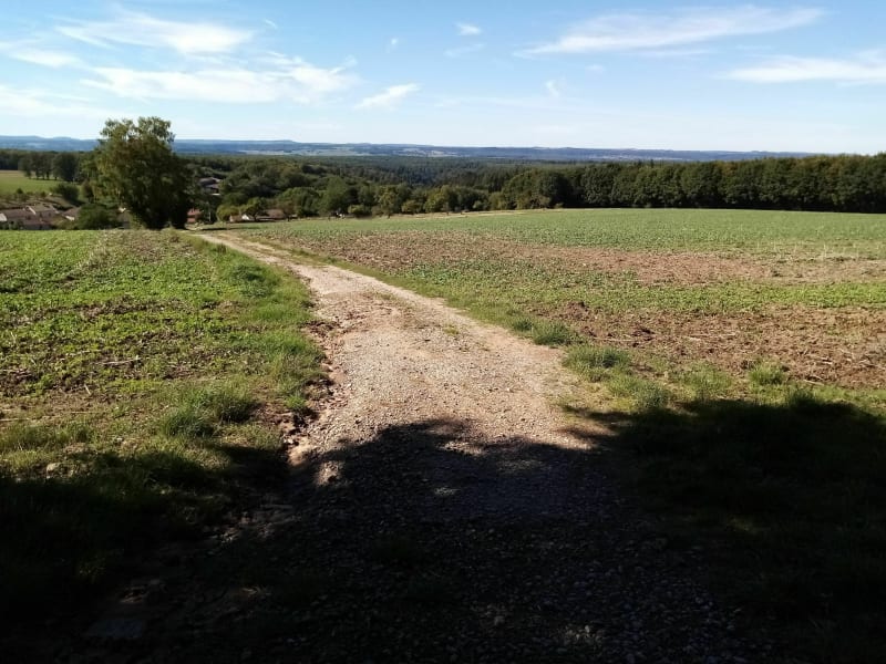 Chemins et sentiers forestier. BOUCLE Hennezel-Hennezel - Hennezel