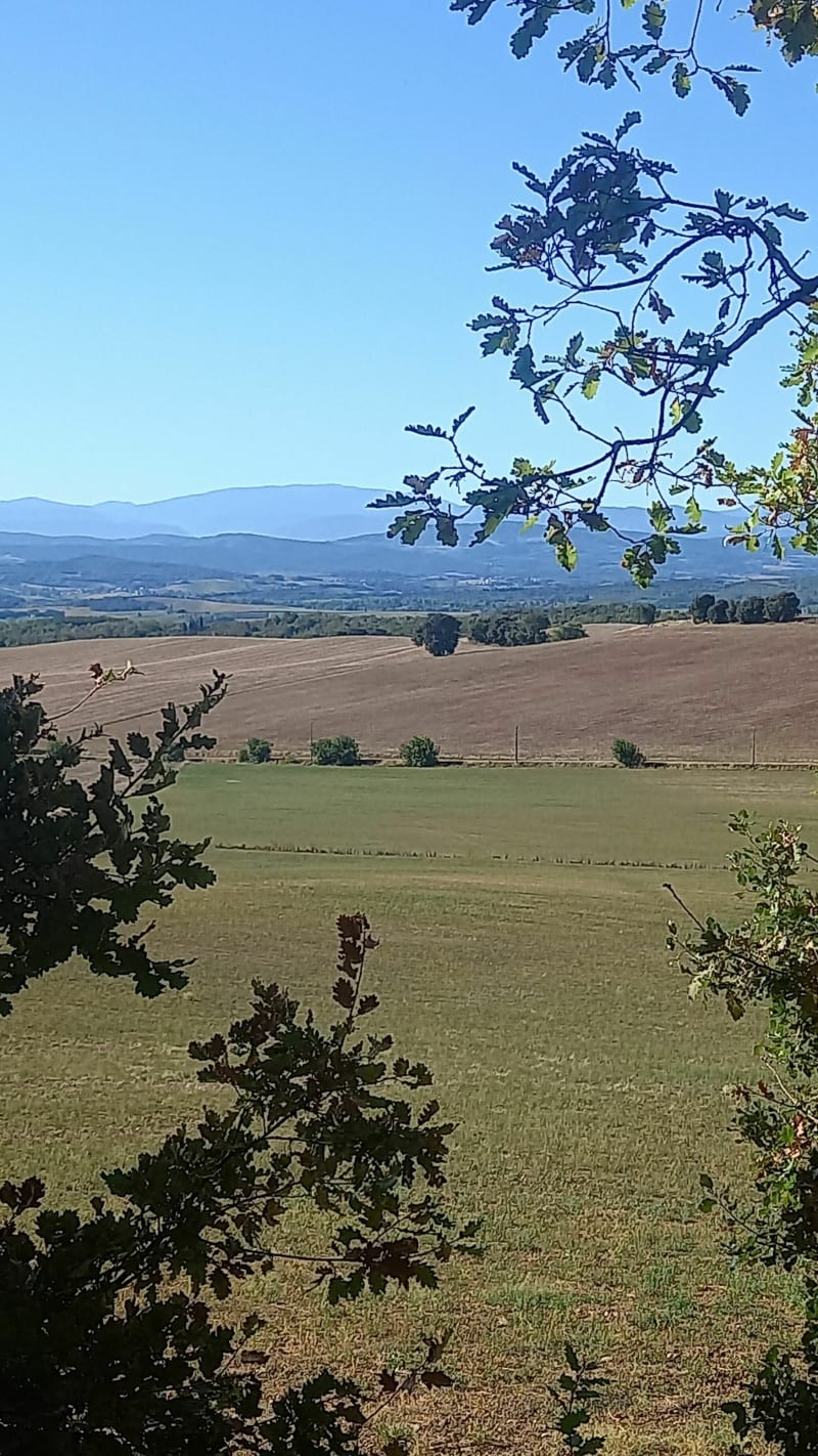 Belles vues des Pyrénées autour de Villarzel du Razès - Villarzel-du-Razès