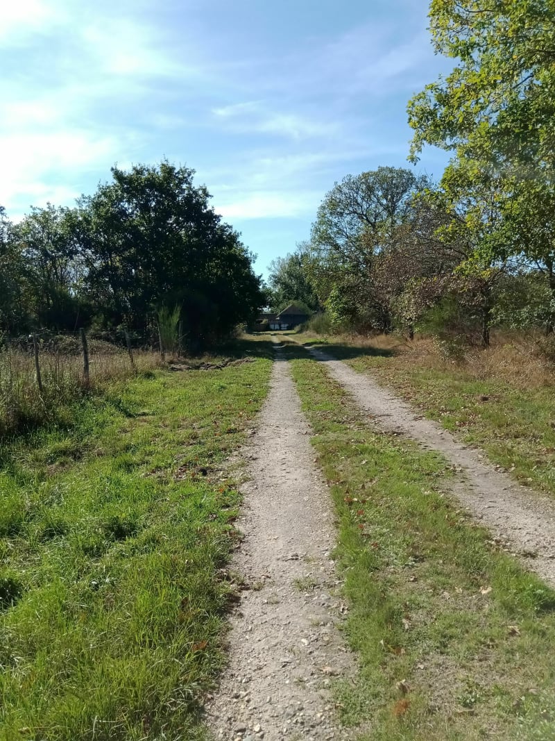 Pour un petit tour à Pierrefitte sur Sauldre - Pierrefitte-sur-Sauldre