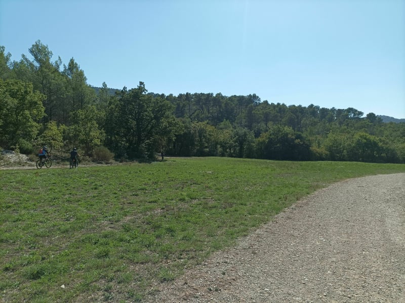Balade en forêt - Nans-les-Pins