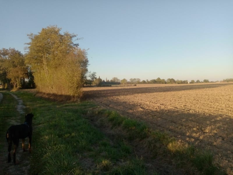 Prés de Frangy en Bresse Nargillet et les Malatieres - Frangy-en-Bresse