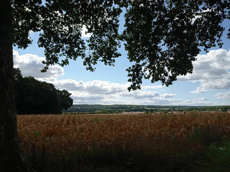 De Montsoult à Baillet... - Montsoult