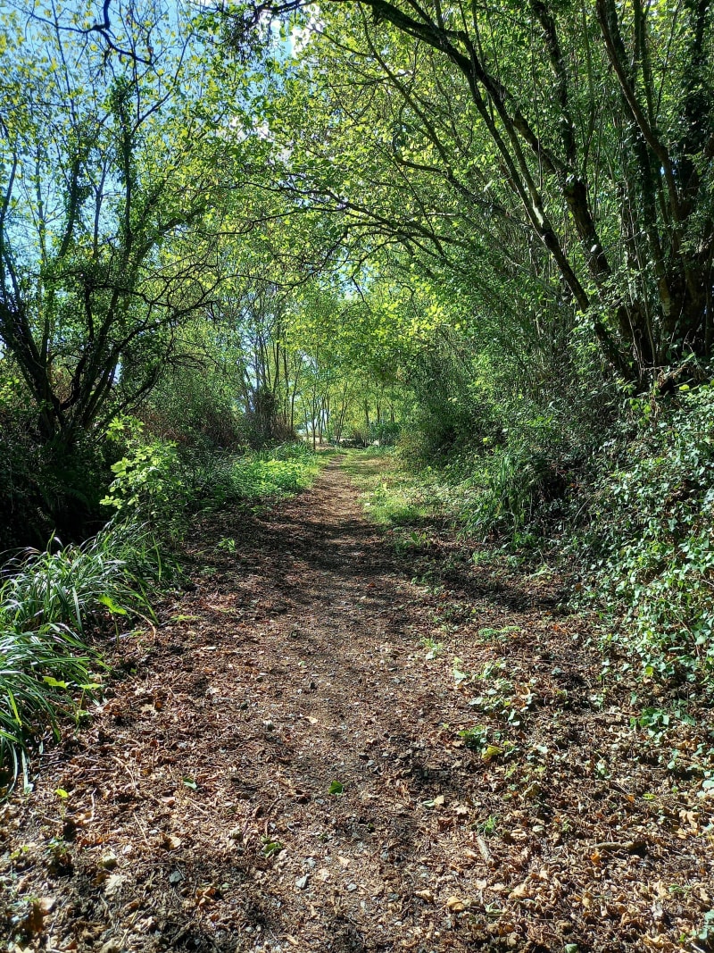 Vallée de l'Aiguefou - Saint-Germain-sur-Moine