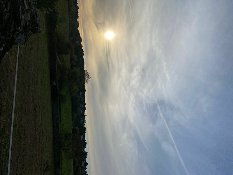 Balade le long de la Maine - Angers