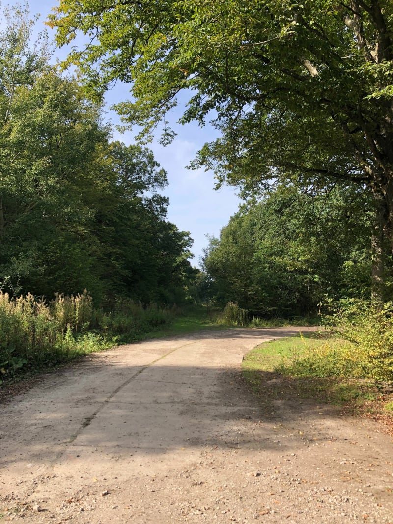Parcours en forêt de Nieppe - Morbecque