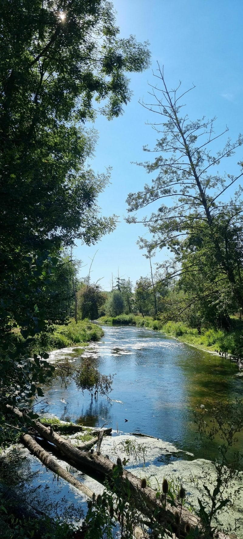 Balade à Saint George sur Arnon - Saint-Georges-sur-Arnon