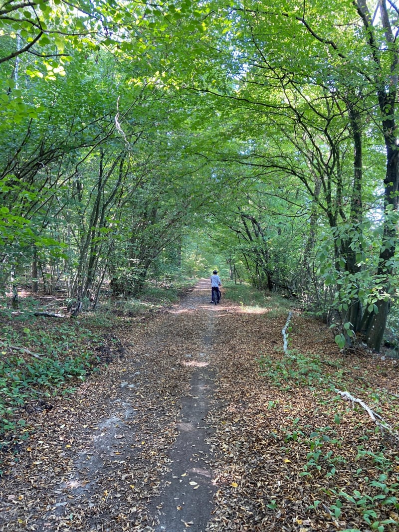 Balade en forêt de Coye - Orry-la-ville