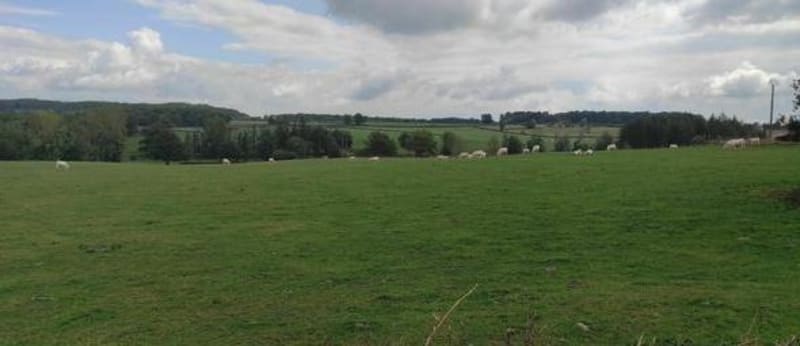 Wandel door bossen en weilanden om Sanvignes te ontdekken - Sanvignes-les-Mines