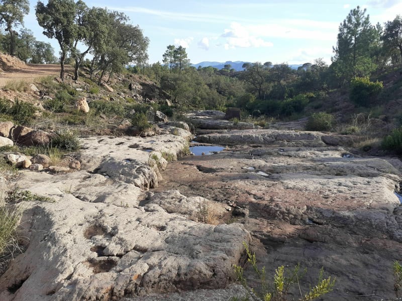 Balade à vtc en forêt de Palayson - Roquebrune-sur-Argens