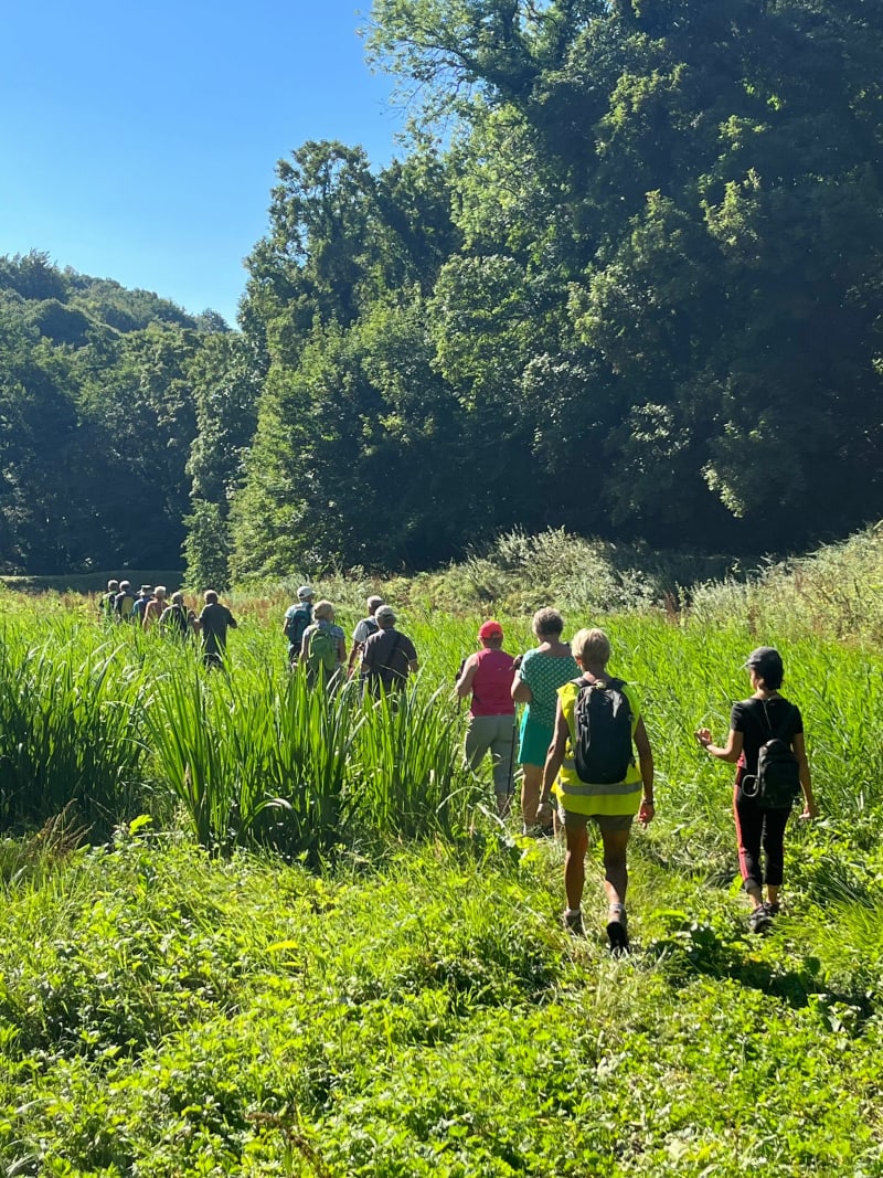 La boucle de Rogerville par le Bois d'Orcher - Rogerville