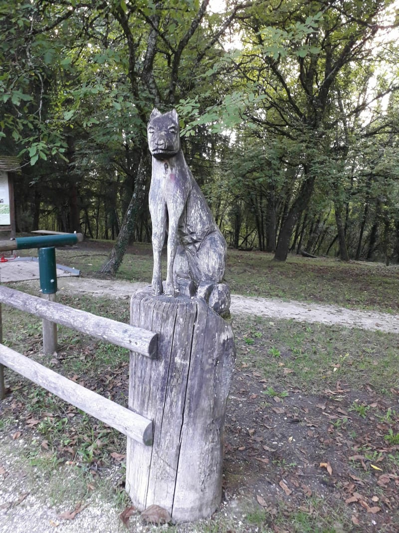 Forêt de Rhotonne  - Parcours de l'écureuil - Belley