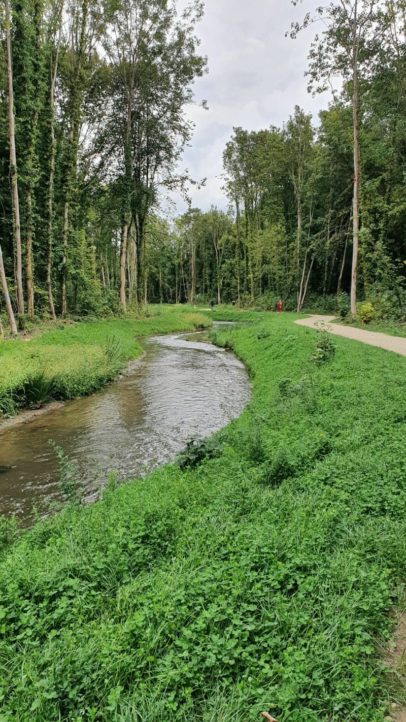 Balade le long de la Mauldre au départ de Maule - Maule