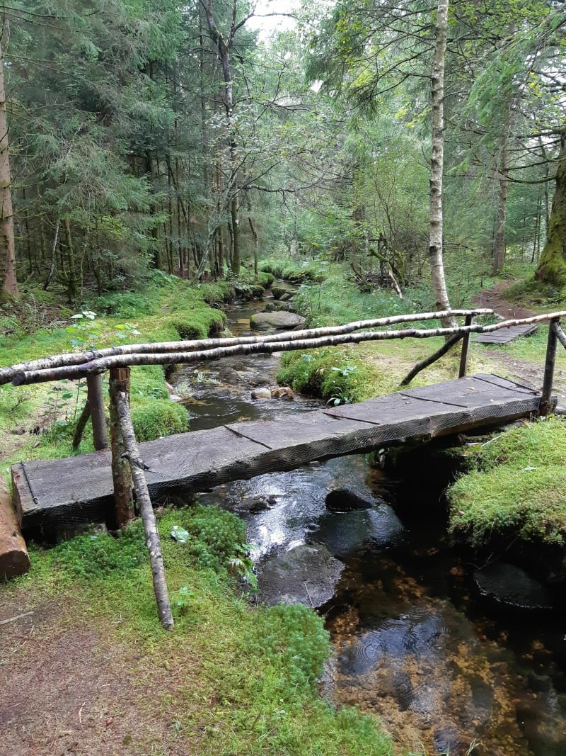 Sentier des Ecoliers Liezey - Liézey
