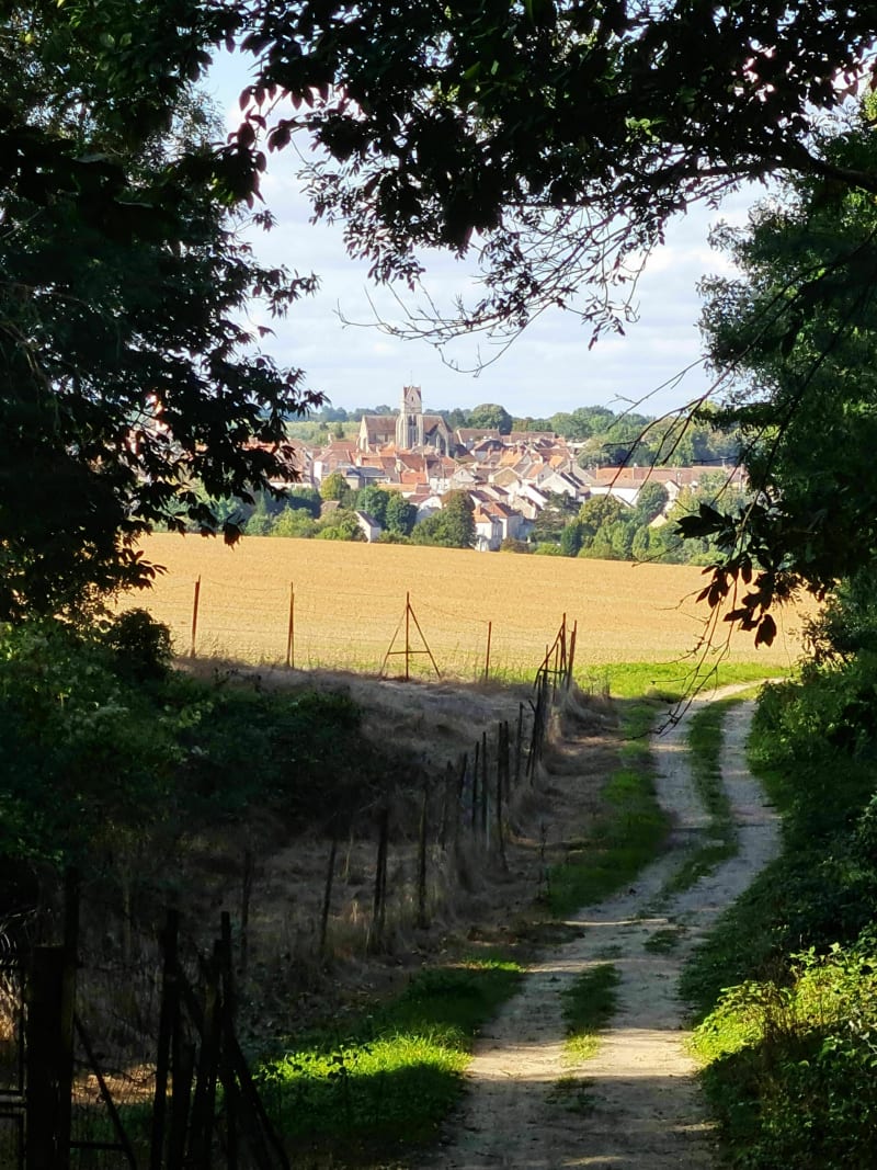 Balade sympathique autour de Verneuil - Verneuil-l'Étang