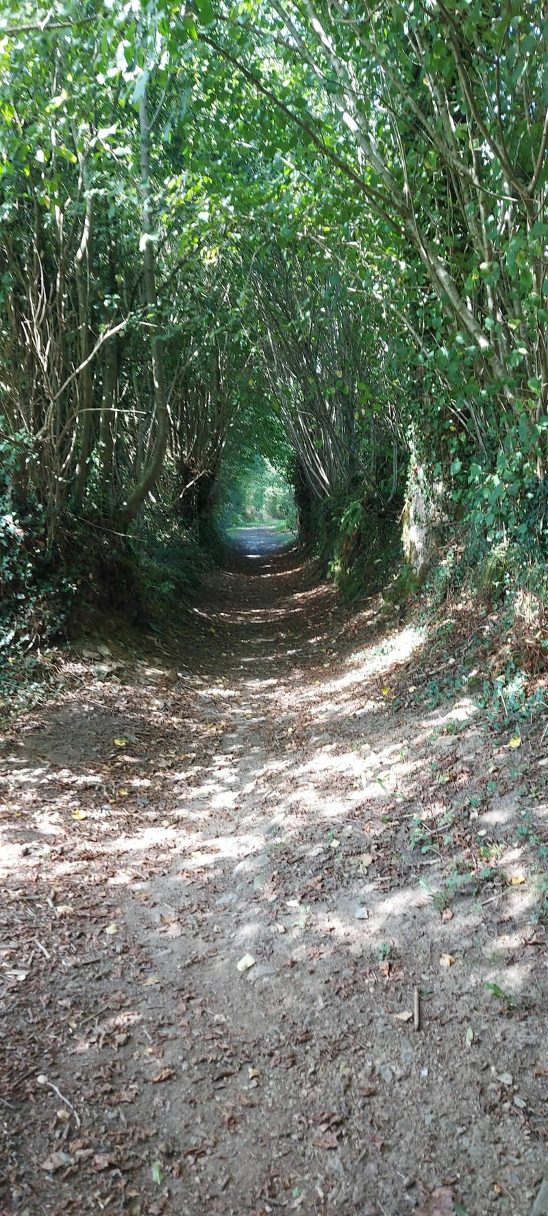 Sur les traces de Jean Follain à Canisy - Canisy