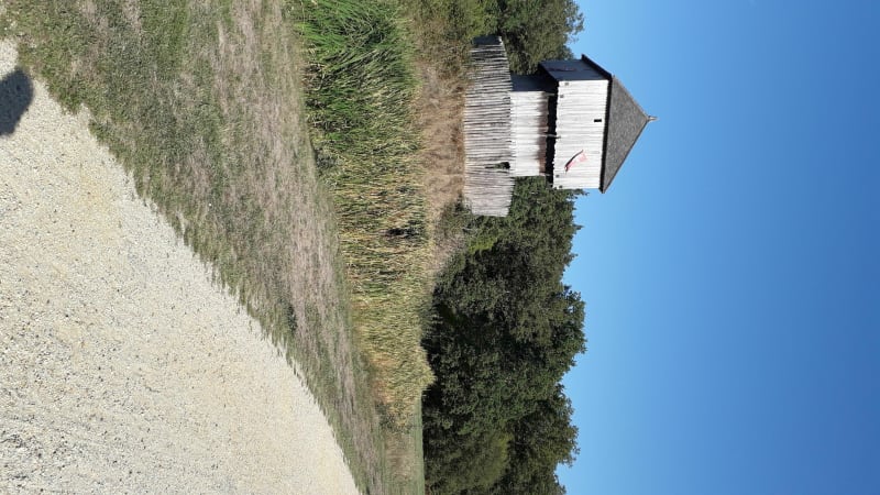 Belle balade au parc du Château à Motte - Verrières-en-Anjou