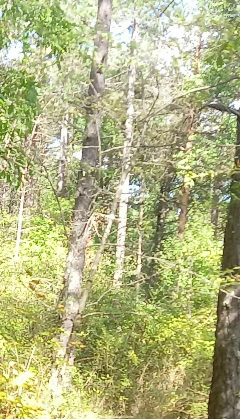 Sentier des Métairies - Peyrefitte-du-Razès