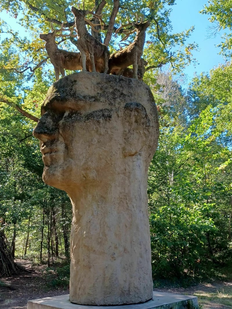 Cesson - Forêt de Rougeau - Cesson