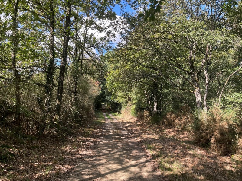 Découverte de la Petite Charnie - Saint-Symphorien