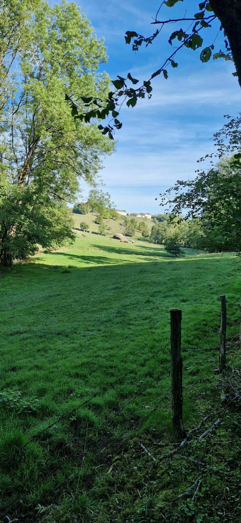 Vic De Vézelise à Etreval en longeant le Brenon - Vézelise